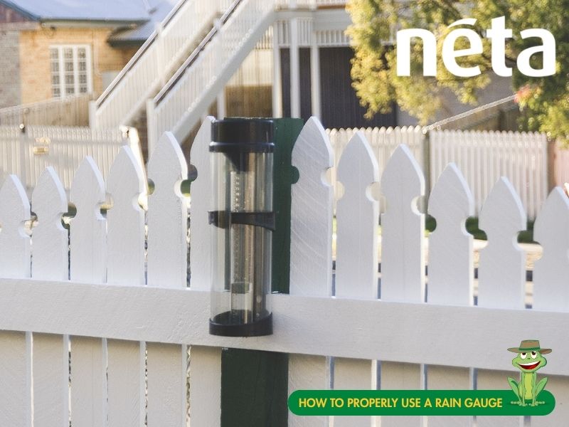 How To Properly Use A Rain Gauge - Irrigear®